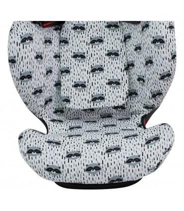 Vista inferior Racoon Town