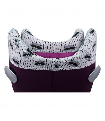 Vista trasera Racoon Town