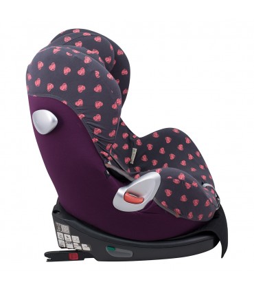 Vista Lateral Fluor Heart