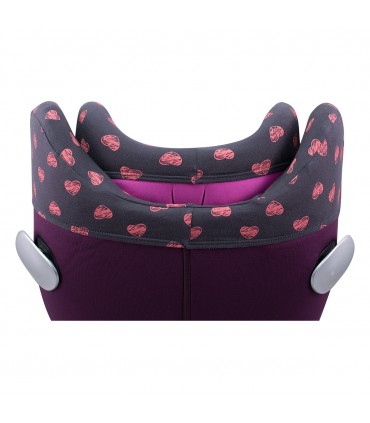 Vista trasera Fluor Heart