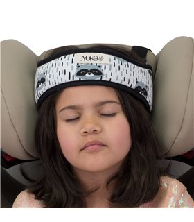 Vista general con modelo Racoon Town