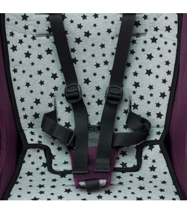 Correas de seguridad Black Star