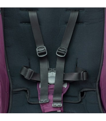 Correas de seguridad Black Series