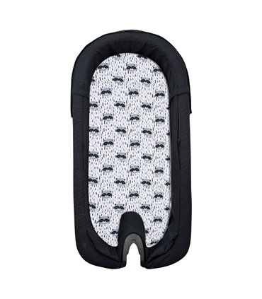 sábana bajera  - Vista general Racoon town