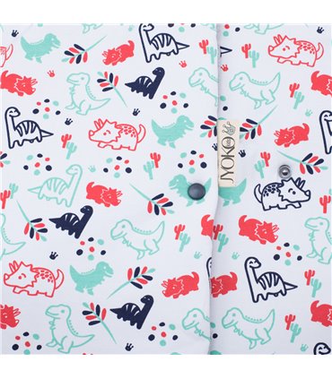 Detalle etiqueta Dino Party