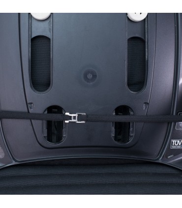 Detalle posterior Spike