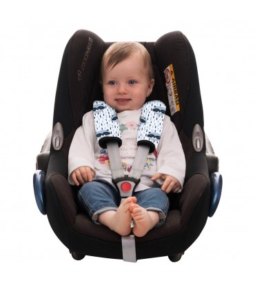 Arneses - Detalle frontal Racoon town