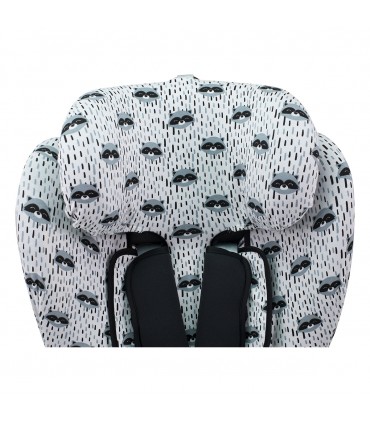 Vista Superior Racoon Town