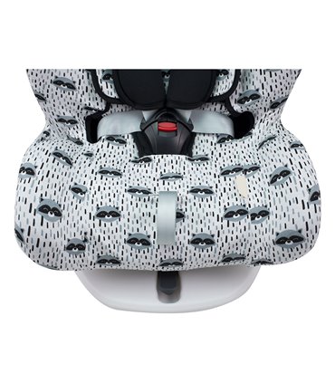 Vista inferior Racoon Town