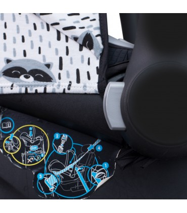 Elastico Racoon Town