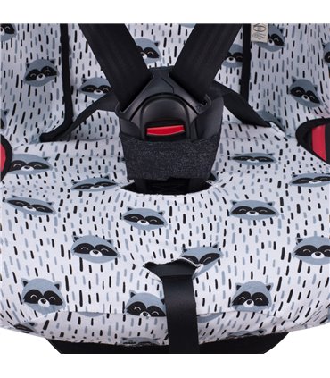 Vista inferior Racoon Town