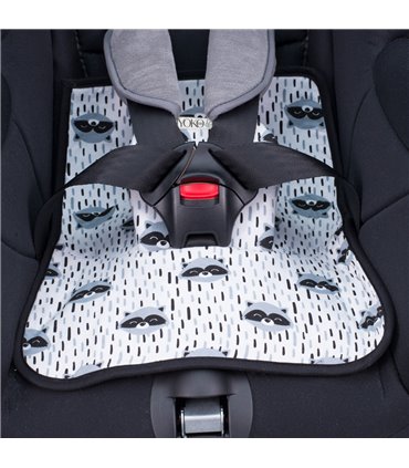 Doble seguro Racoon Town