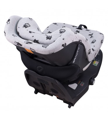 Detalle cabezal Robot Space