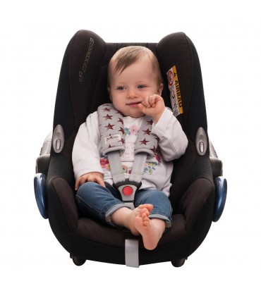 Arneses - Detalle frontal Spike