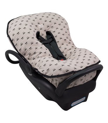 Vista 3/4 Mr Mustache