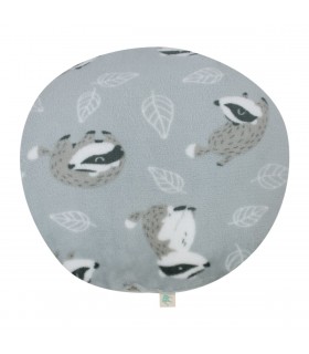 Vista frontal do texugo