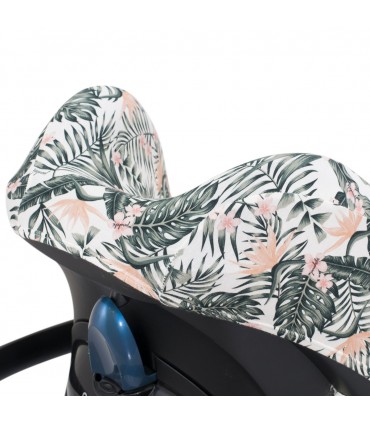 vista 3/4 superior African