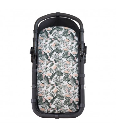 sábana bajera  - Vista frontal African sunset