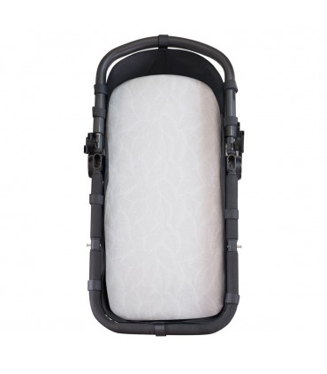 sábana bajera  - Vista frontal bloom