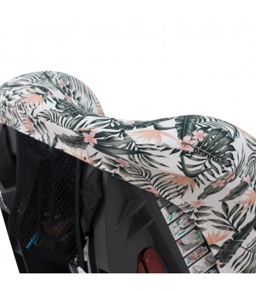 Vista trasera African Sunset