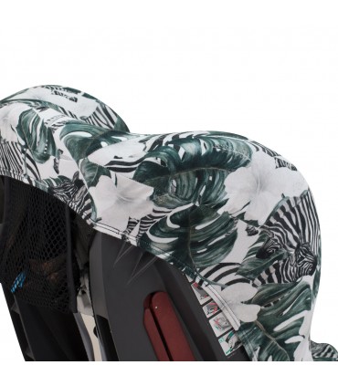 Vista trasera Zebras