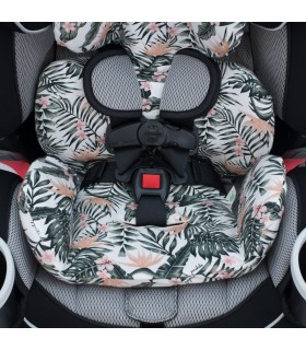 Ojal para correas de seguridad African Sunset