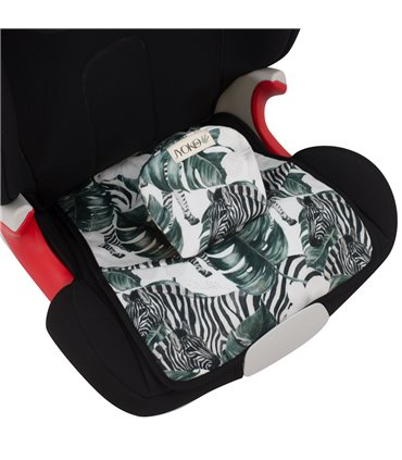 Vista entrepierna Zebra