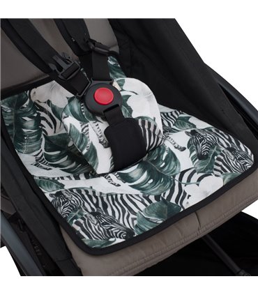 Entrepierna y seguro Zebra