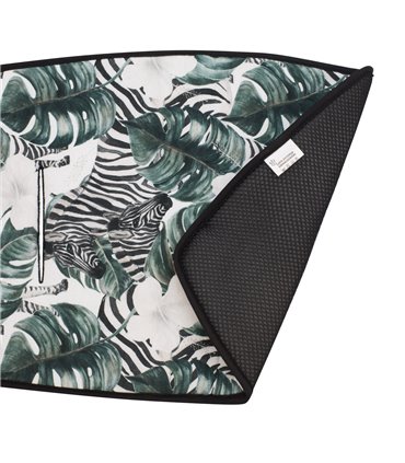 Vista interna y externa Zebra