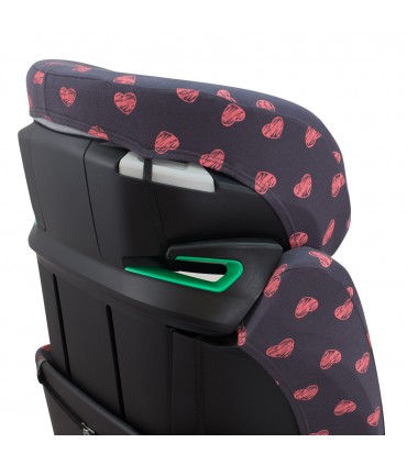 vista 3/4 superior Fluor Heart