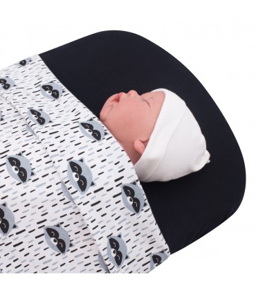 Vista de uso Racoon Town