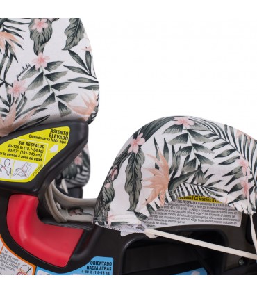 Vista lateral African Sunset