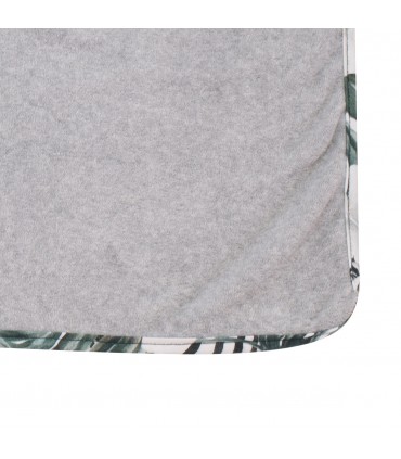 Vista interior Zebra