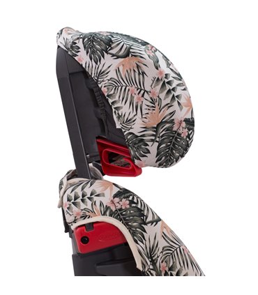 Vista lateral Africant Sunset