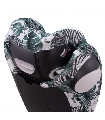 Vista 3/4 superior Zebra