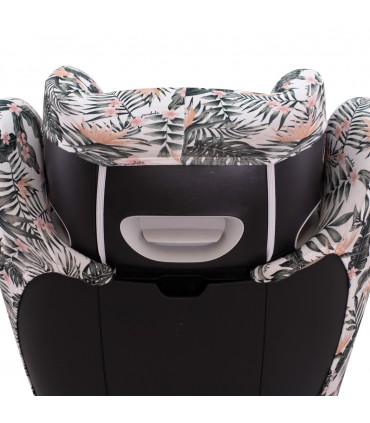 Vista trasera African Sunset