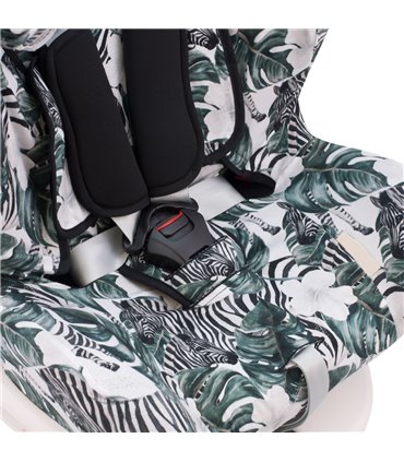 Vista 3/4 inferior Zebra