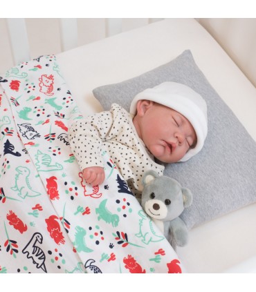 Vista de uso con modelo C Dino Party