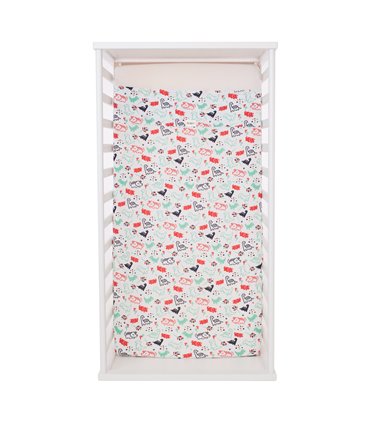 Vista frontal C Dino Party