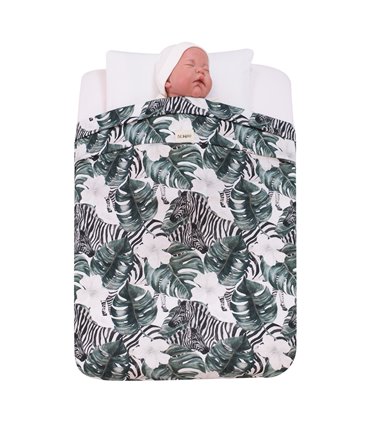 Vista frontal con modelo M Zebra