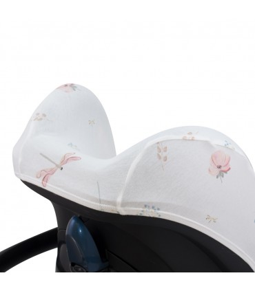 Vista trasera DragonFly