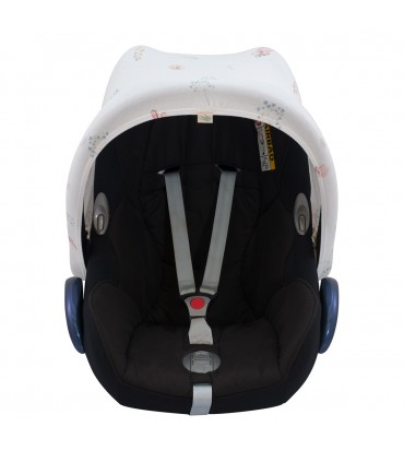 Vista frontal DragonFly