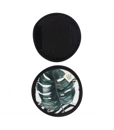 Vista interna y externa Zebra