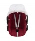 Maxi cosi Pebble y Bebe confort - Vista frontal DragonFly
