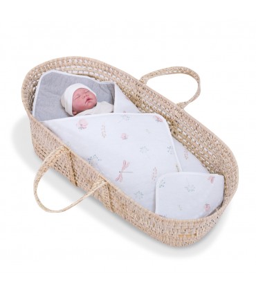 Vista frontal DragonFly