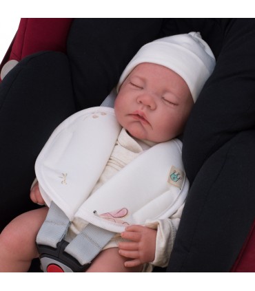 Vista Detalle DragonFly