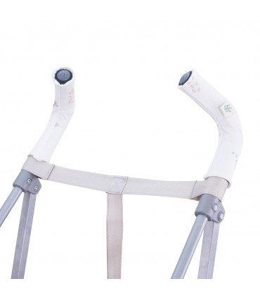 Vista frontal DragonFly