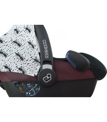 Primer plano Racoon Town