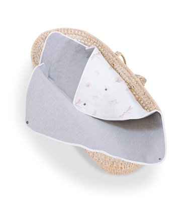 Vista interna y externa DragonFly