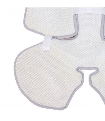 Vista trasera White Star